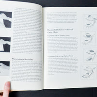 Theorem Painting: The Fine Art of Stenciling Booklet
