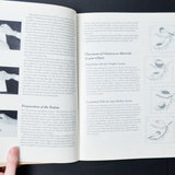 Theorem Painting: The Fine Art of Stenciling Booklet