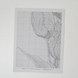 The Silver Lining Rembrandt Tulips Counted Cross Stitch Pattern