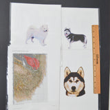 Husky & Samoyed Cross Stitch Pattern Bundle - Set of 4