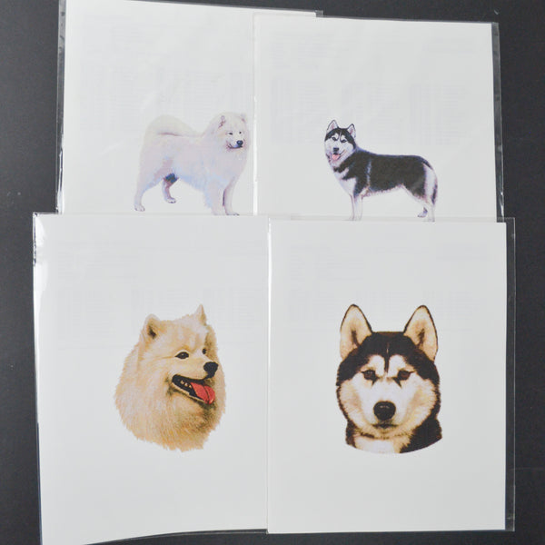 Husky & Samoyed Cross Stitch Pattern Bundle - Set of 4