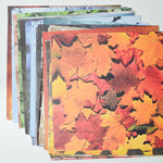 Nature Themed Scrapbook Paper Bundle