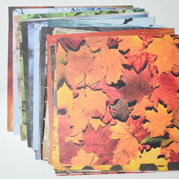 Nature Themed Scrapbook Paper Bundle