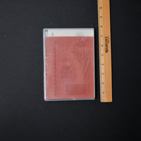Stampin Up! Butterfly Basics Stamp SEt