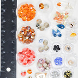 Crystal Beads + Foil Back Rivoli in Organizers