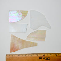 Neutral Glass Piece Bundle