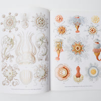 Haeckel's Art Forms from Nature Book