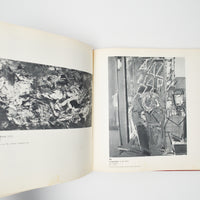 Hans Hofmann with an Introduction by Sam Hunter Book