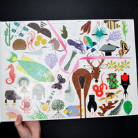 Charley Harper's Animal Kingdom Book