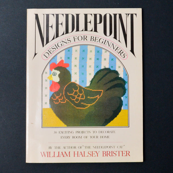 Needlepoint Designs for Beginners Book