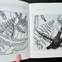 More Needlepoint Design Book