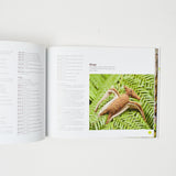 Best in Show: Knit Your Own Dinosaur Book