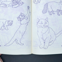 Cats + Kittens Iron-On Transfer Patterns Booklet