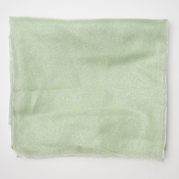 Light Green Sheer Shimmery Fabric - 45" x 75"