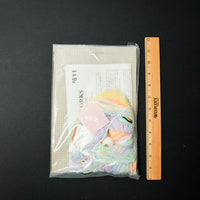 Plastic Canvas Needlepoint Kit - Dick Martin's Martinsville #611