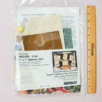 Homespun Tole 'N Accents Melons Wall Hangings Kit