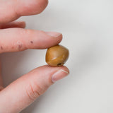 Smooth Cone Buttons - Set of 8
