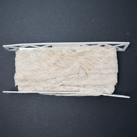 Off-White Stretch Lace Trim