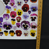 Pansies, Coffee Can + Plate Poster or Wrapping Paper Sheet - 19.5" x 27.5"