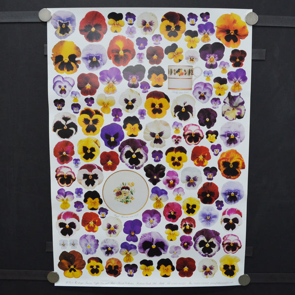 Pansies, Coffee Can + Plate Poster or Wrapping Paper Sheet - 19.5" x 27.5"