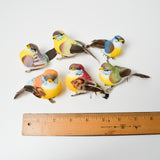 Bird Clips with Real Feathers - Set of 6