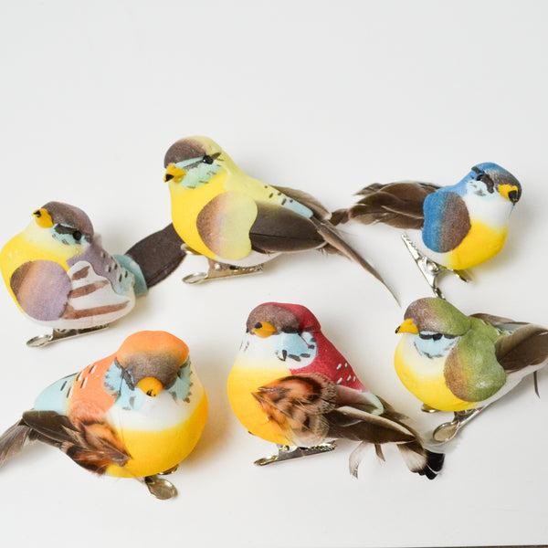 Bird Clips with Real Feathers - Set of 6