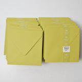 Paper Source Chartreuse 5 3/4" Square Envelopes - 17+ Packs