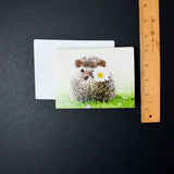 Hedgehog Cards with Envelopes - 6 Sets