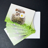 Hedgehog Cards with Envelopes - 6 Sets