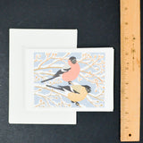 Illustrated Bird Cards with Envelopes - 5 Sets