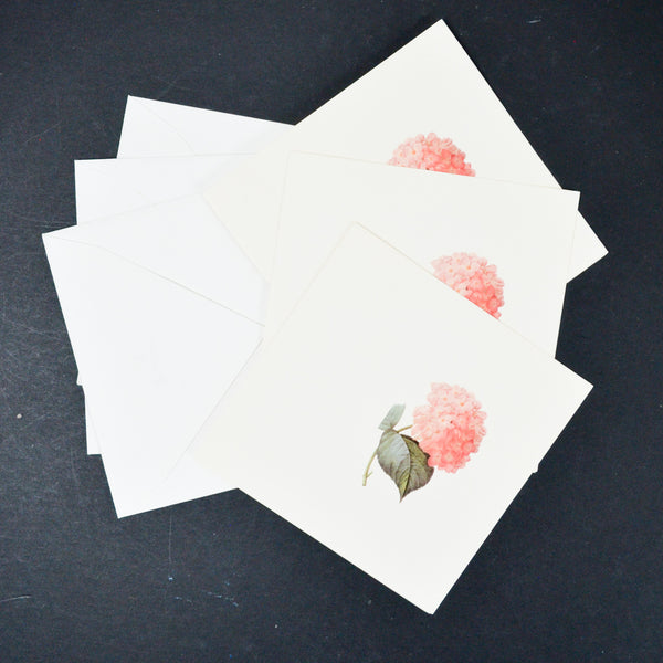 Illustrated Hydrangea Cards with Envelopes - 3 Sets