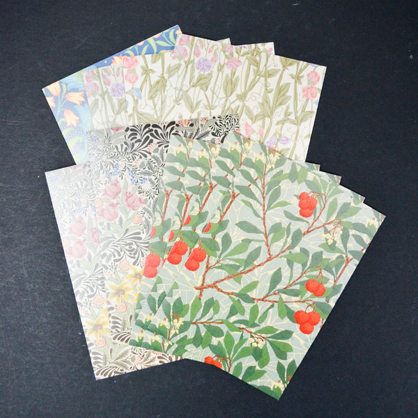 Illustrated Botanical Cards with Envelopes - 10 Sets