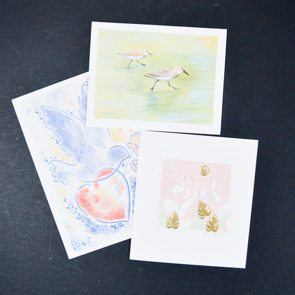 Illustrated Bird Cards with Envelopes - 3 Sets