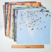 Nature Themed Scrapbook Paper Bundle