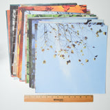 Nature Themed Scrapbook Paper Bundle