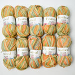 Green + Orange Festival Rose Acrylic + Wool Blend Yarn - 10 Skeins
