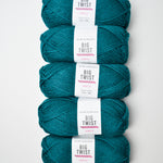 Teal Big Twist Gentle Acrylic Yarn - 5 Skeins