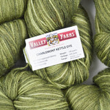 Olive Green Valley Yarns Charlemont Kettle Dye Superwash Merino, Mulberry Silk + Polyamide Yarn - 6 Skeins