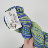 Blue + Green Cascade Yarns Heritage 150 Multis Merino Wool + Nylon Yarn - 5 Skeins