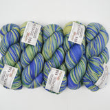 Blue + Green Cascade Yarns Heritage 150 Multis Merino Wool + Nylon Yarn - 5 Skeins