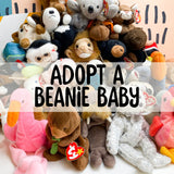 Adopt a Mystery Beanie Baby